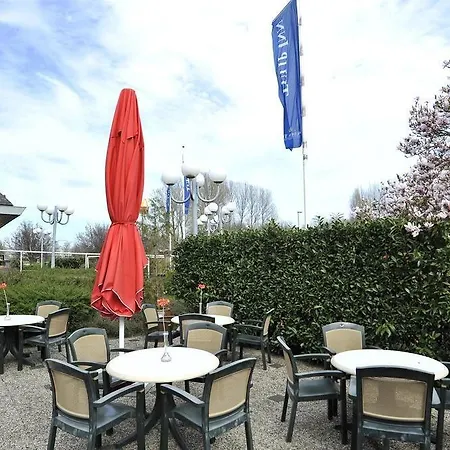 Tulip Bodegraven