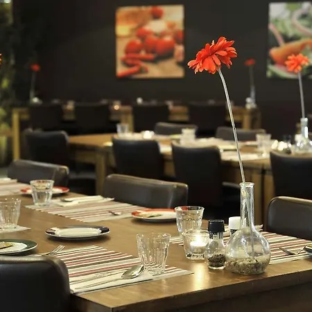 Tulip Hotel 3*